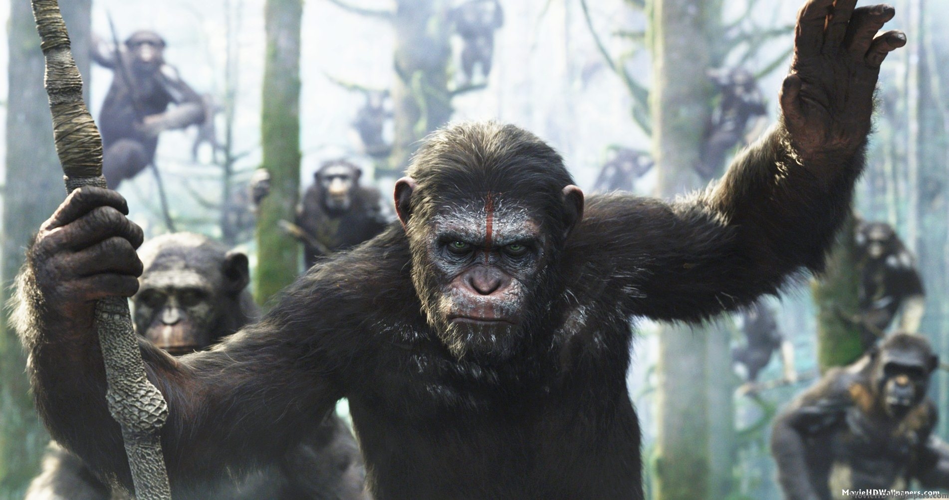 Download Dawn of the Planet of the Apes full BLURAY movie 2014